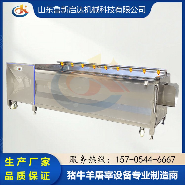 猪头清洗毛辊清洗机 羊头蹄毛刷清洗设备 小型清洗机器