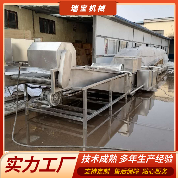 Ruibao Fruit and Vegetable Goji Mushroom Bubble Cleaning Machine Bubble Olive Vegetable Cleaning Equipment