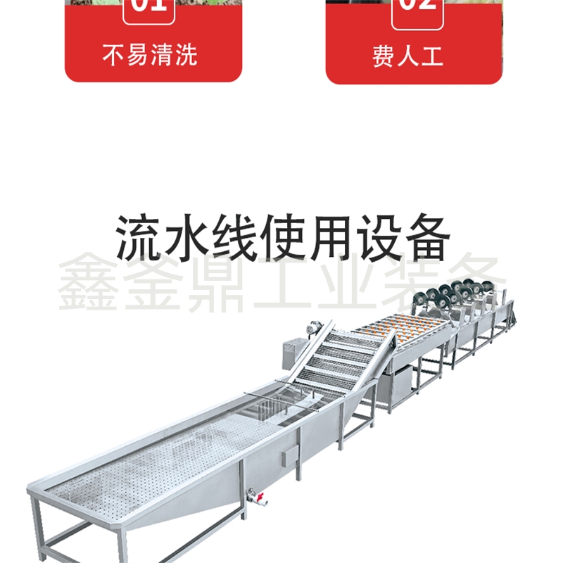 Spot sour bean cleaning machine, customized tea cleaning equipment, pickled vegetable processing and production line