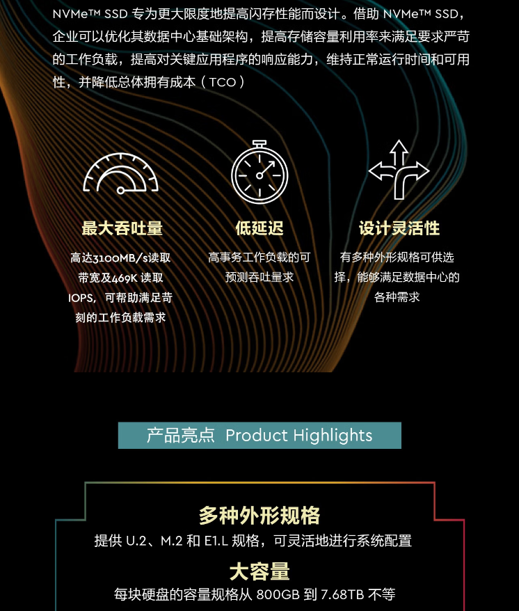 Western Digital Enterprise Solid State Drive 3.84T Database Data Center SSDU. 2 Interface NVMe Protocol