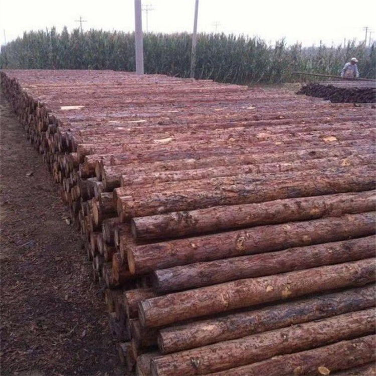 River flood prevention, pine stakes, landscaping engineering, green building, ground retaining, civil engineering, pile, cedar pole, round wood, Hongyuan Building Materials