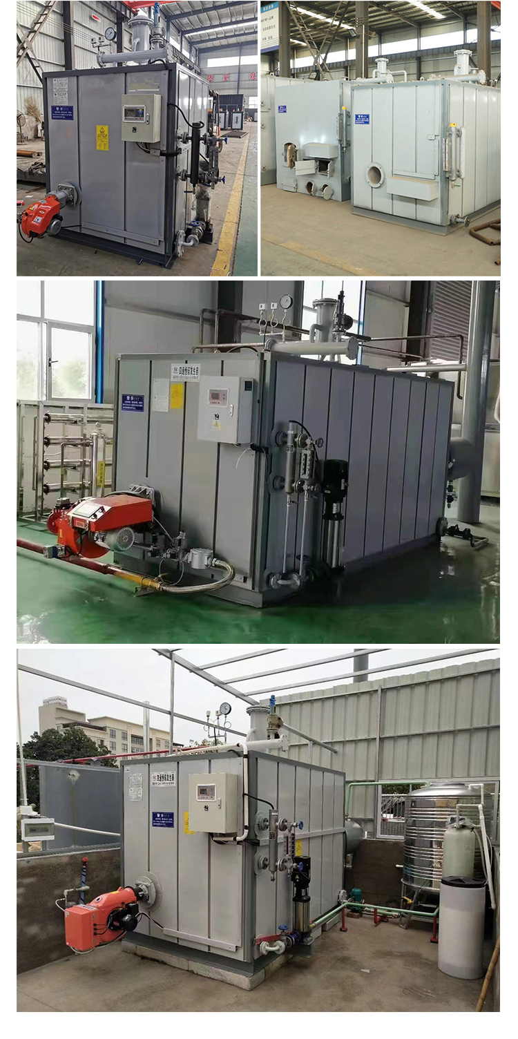 FTSG2-0.7-YQ Fuel Gas Steam Generator Fully Automatic Laundry Clothing Factory Multi function Steam engine