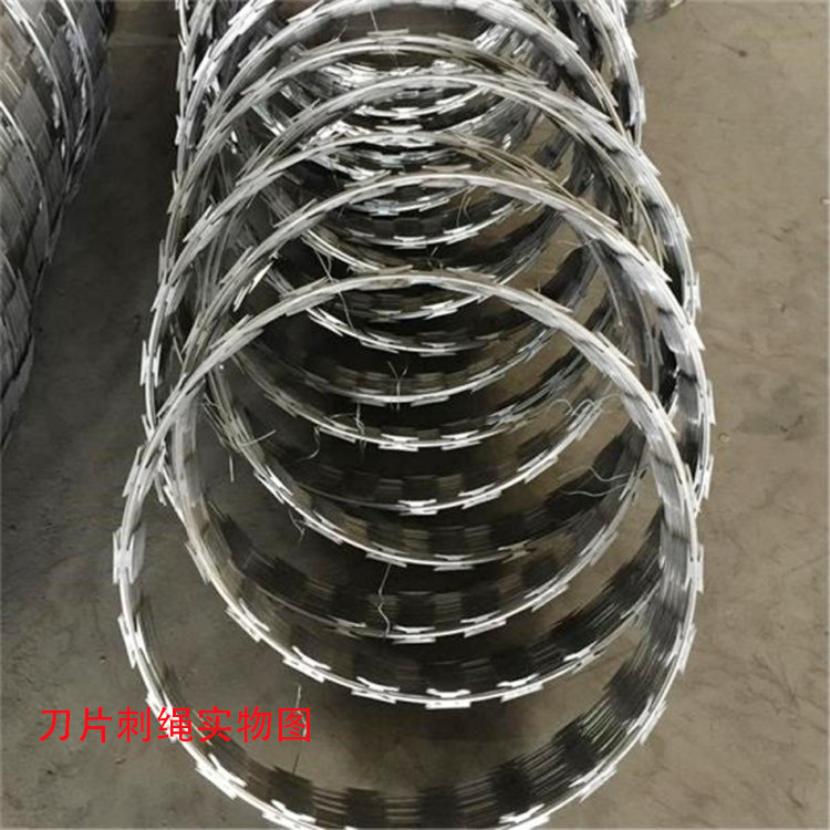 Hot dip galvanized mesh highway anti climbing blade stab rope A stab wire rolling cage BTO-22 Keyan metal