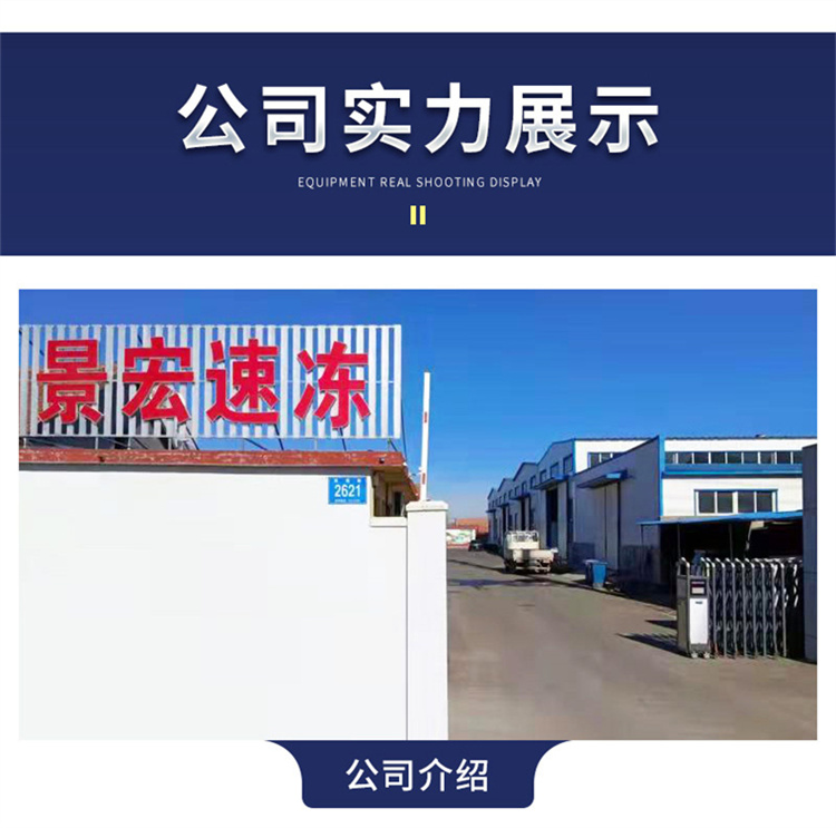 Fish fillet freezer, sushi freezer, frozen seafood processing equipment, commercial support customization