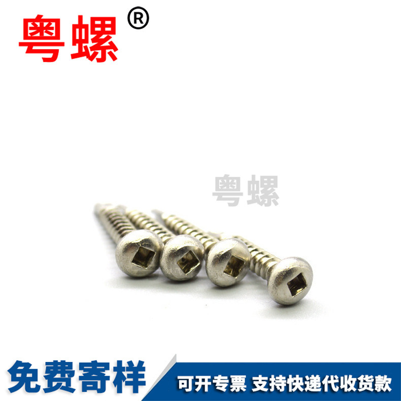 Wholesale square hole self tapping and self drilling screws, stainless steel American internal square lock tail screws M2.5 M3 M4 M5