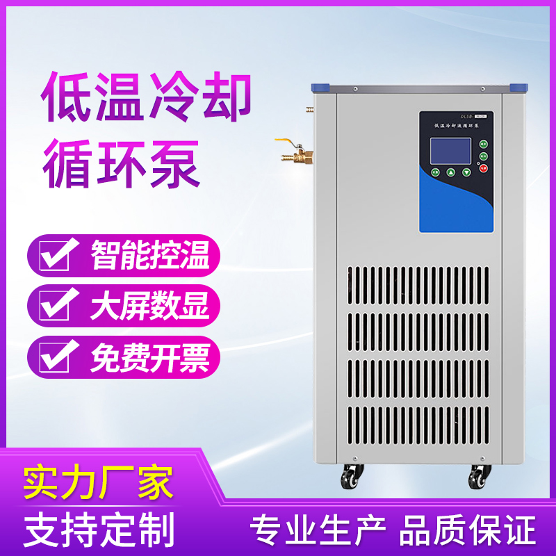 冷却液循环泵 低温冷却液循环泵DLSB系列实验室制冷设备华特仪器支持定制