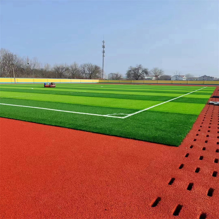 Giant Bird Sports Plastic Runway 13mm School Stadium Breathable Runway