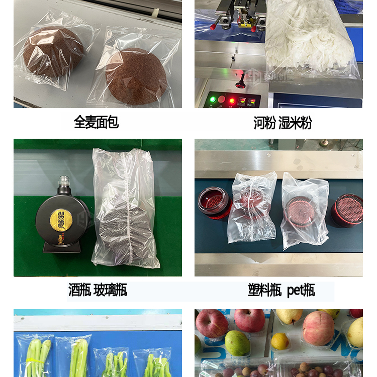 Iced Fresh Chicken Packaging Machine Model Yongchuan 600 Fresh Goose Bagging Machine Frozen Pigeon Preservation Packaging Equipment