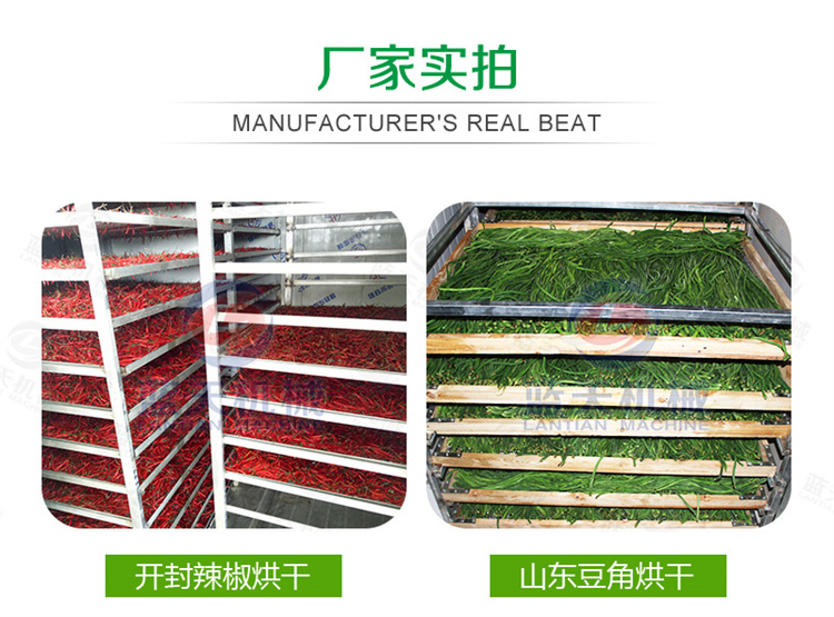 Green Pepper Drying Equipment Intelligent Temperature Control Kang Green Pepper Slice Drying Room Green Pepper Section Green Pepper Slice Green Pepper Ring Drying Machine