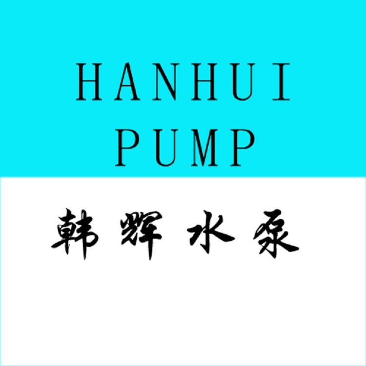 Han Hui Horizontal Slurry Pump 65ZJE-II Alloy Mud Pump Double Impeller Double Shell Mechanism Sand Filter Press