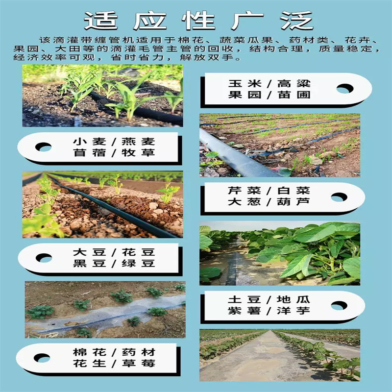 Multiple capillary retracting machine, tractor driven, multiple drip irrigation belt recycling machine