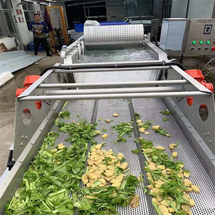 Fruit and Vegetable Eddy Current Cleaning Machine Fully Automatic Vegetable Cleaning Processing Line Canteen Vegetable Cleaning Equipment Chengde Xin