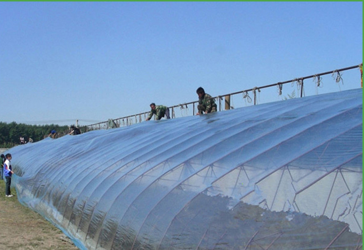 Shuaifeng Vegetable farming shed film PE plastic film grape shed film peanut film transparent plastic film factory wholesale