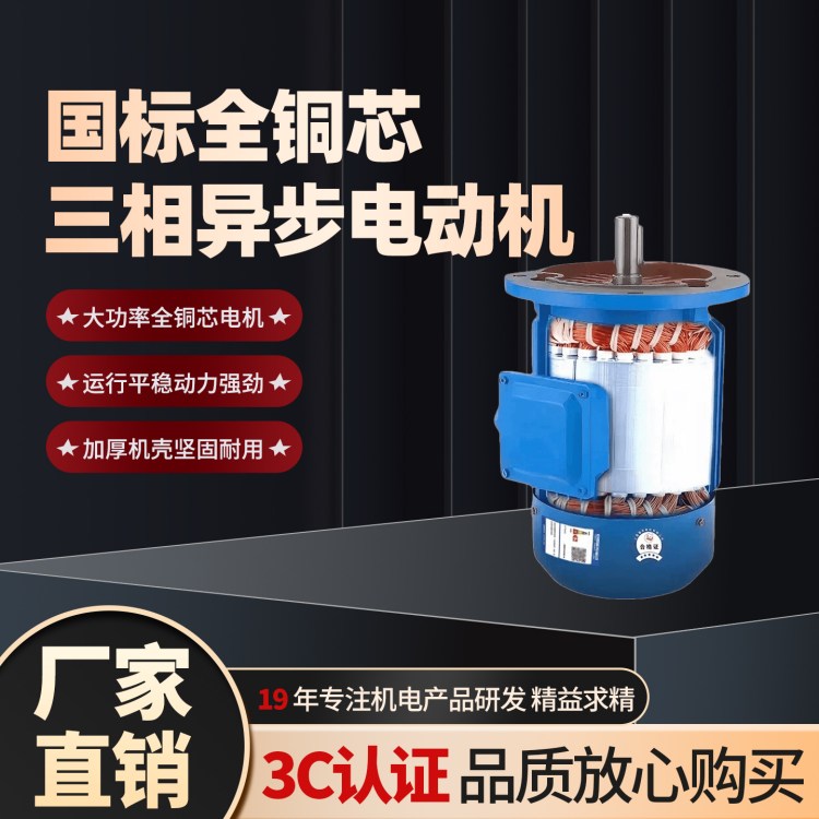 YE3-315S-2铝壳电机三相直流电机 立式异步电动机110KW
