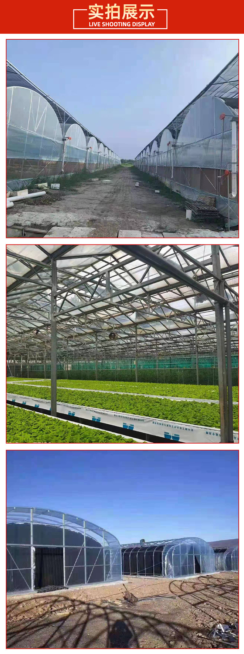 Construction of Vegetable Greenhouses in Thin Film Greenhouses for Agricultural High Temperature Greenhouses Utilizing Large Space and Good Lighting