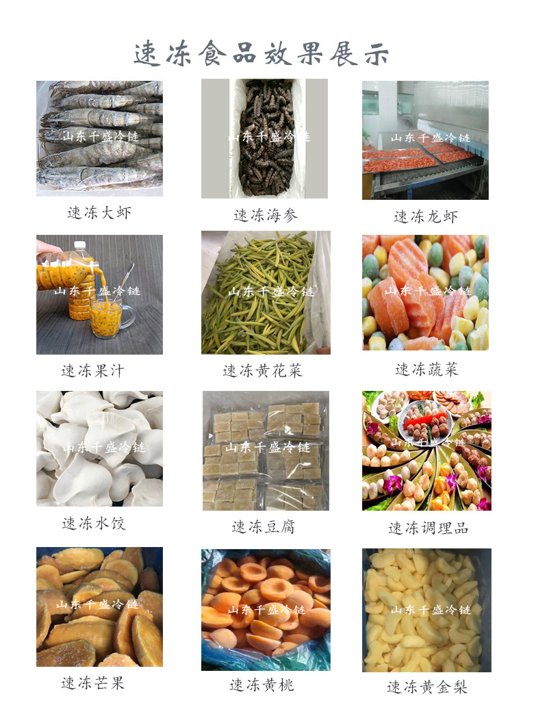 Food low-temperature freezer Matsutake Morchella mushroom edible mushroom single freezer multifunctional tunnel type quick freezer