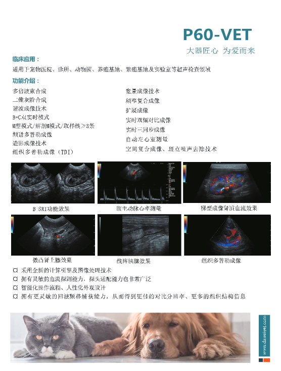 Research Rabbit B-ultrasound Machine Small Animal Ultrasound Imaging System for Mouse Cardiac Ultrasound Detection