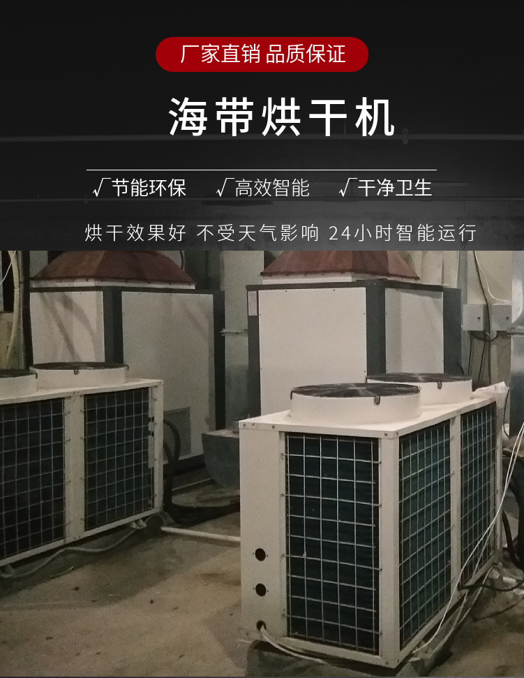 Xiangsheng Hot Air Circulation Intelligent Kelp Dryer Seafood Dehumidification and Drying Equipment