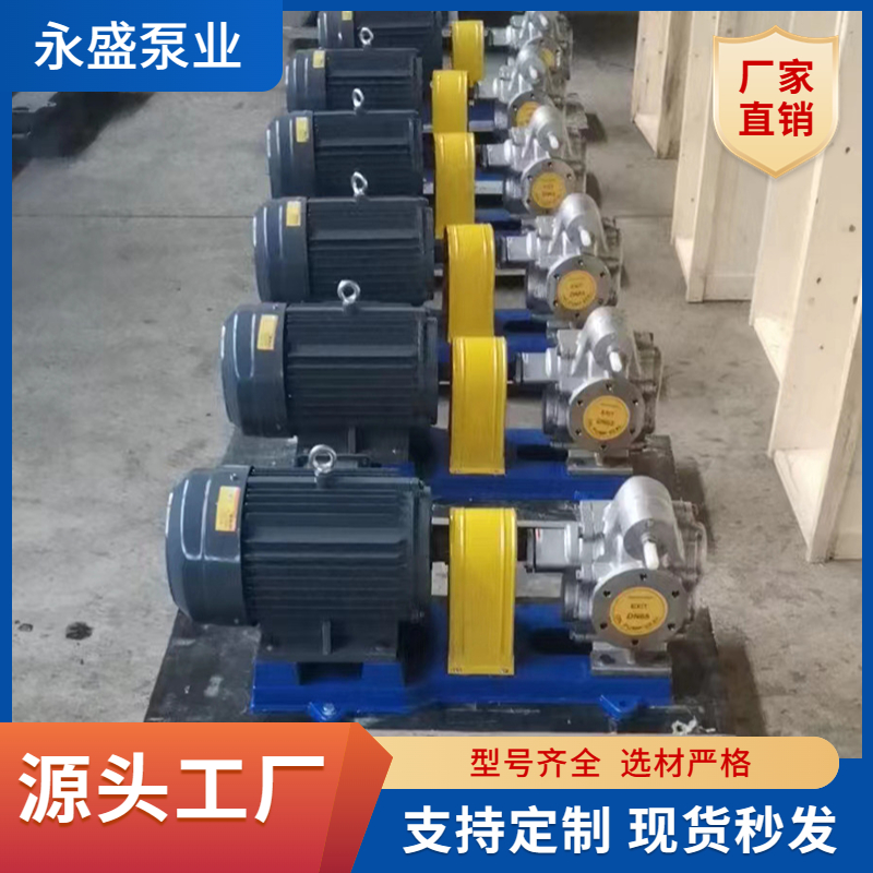 304 stainless steel gear pump electric horizontal pump explosion-proof Pumpjack high-temperature gear pump