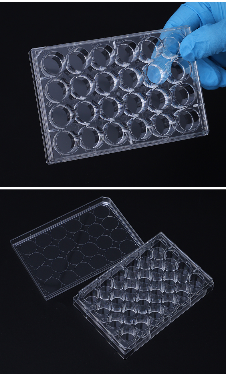 NEST 6/12/24/48/96 well flat bottom adherent/suspension cell culture plate [703001]