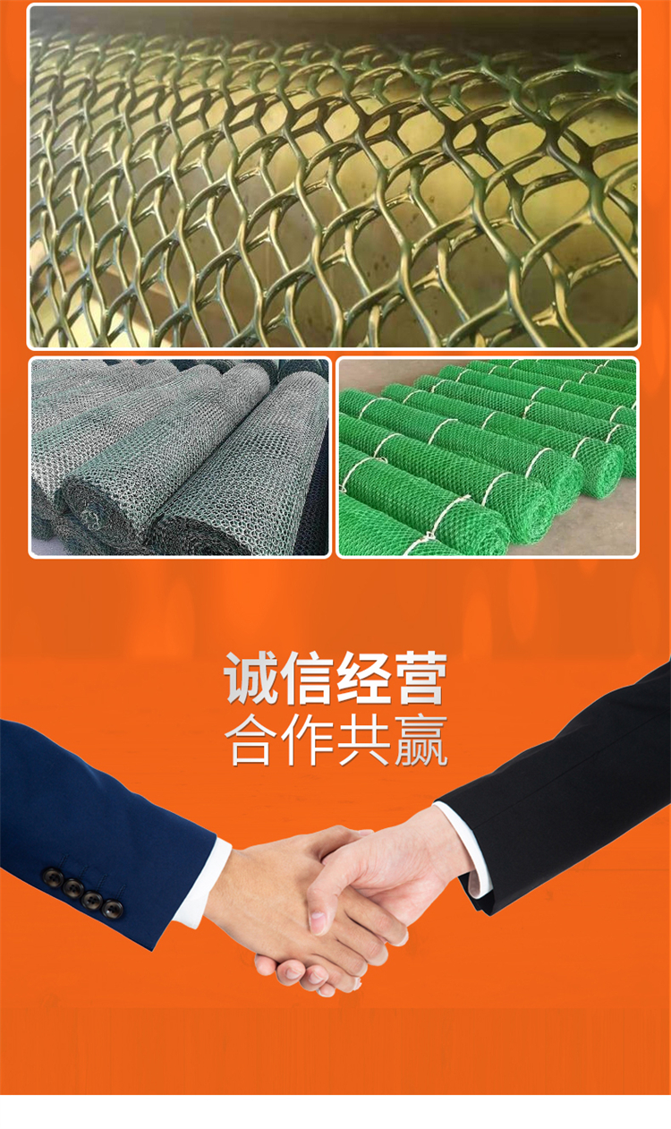 Ecological Protection Network CE131 Roadbed Reinforcement Green Black Support Customizable Sample