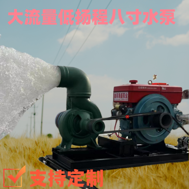 Direct connected non clogging drainage pump engineering construction diesel centrifugal pump farmland orchard irrigation sewage pump