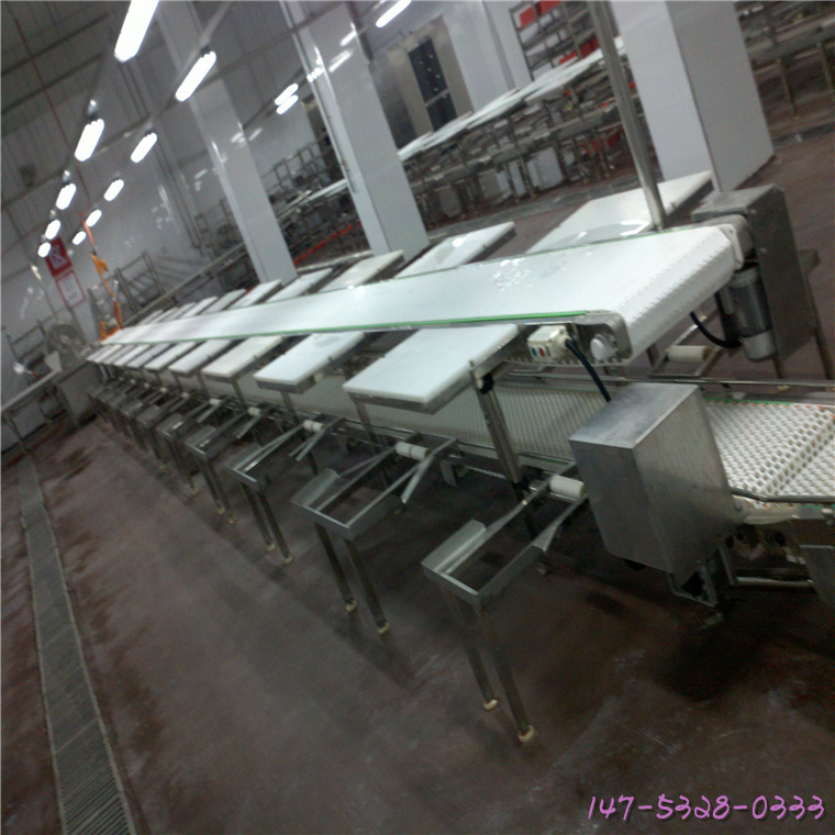 Meat segmentation conveyor belt, stainless steel 304 frame, PU mesh belt, customized length, Trent