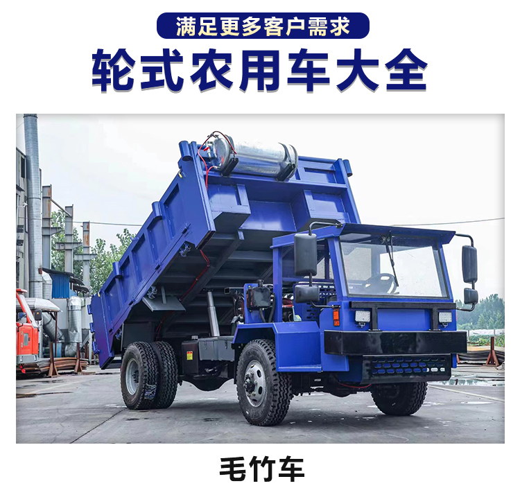 Multifunctional mountain crawler transport vehicle, 4-ton seat mounted, agricultural small dump crawler, mountain climbing tiger