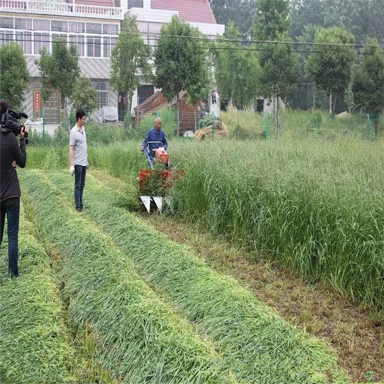 Handheld integrated rice and wheat harvester, new crescent plate harvester, wheat and alfalfa blade harvester