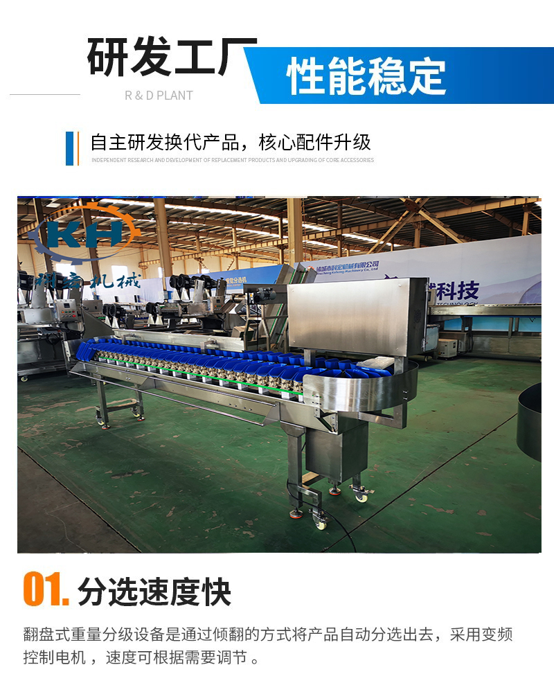 Material box sorting machine Seafood size sorting machine Potato and potato grading equipment