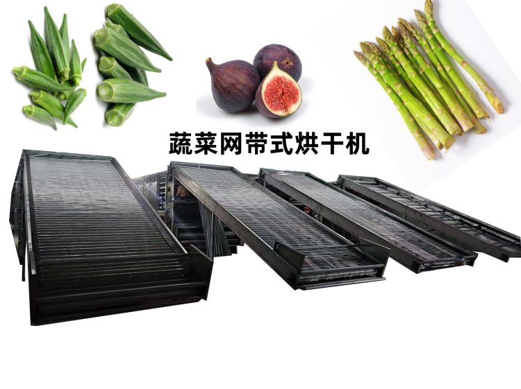 食品网带烘干机 不锈钢苹果片网带式烘干机器 带式流水线烘干设备