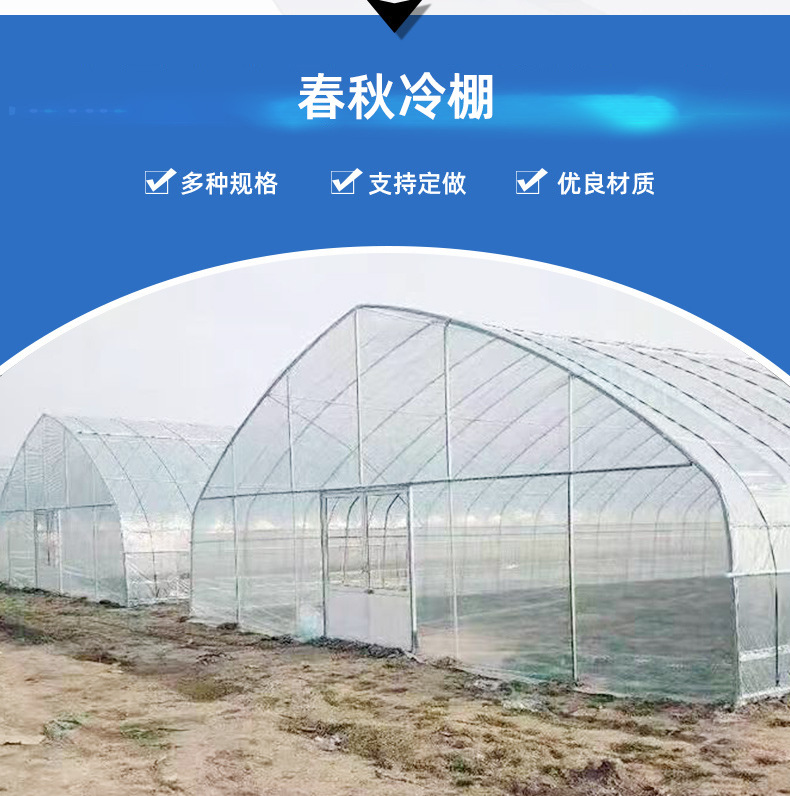 New style grape planting shed, off-season fruit greenhouse, single arch greenhouse, greenhouse pipe spot, Taiyouyi factory