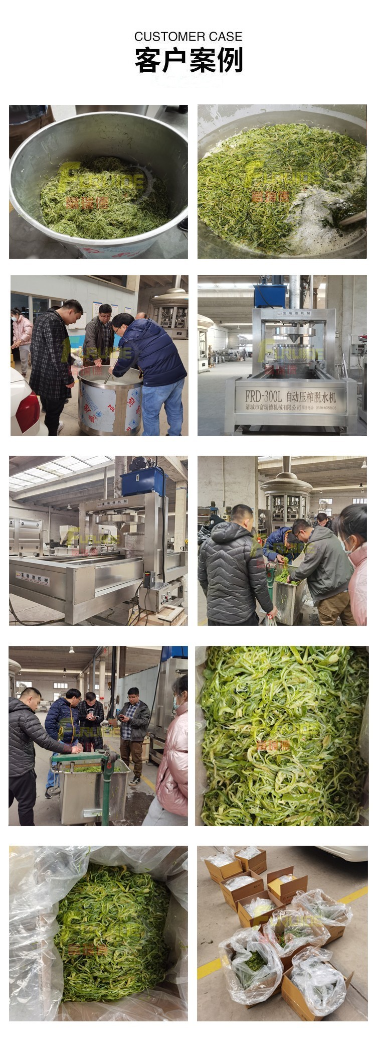 Dongdu Wine Konjac High Pressure Pressing Equipment Large Pressure Pressing Line