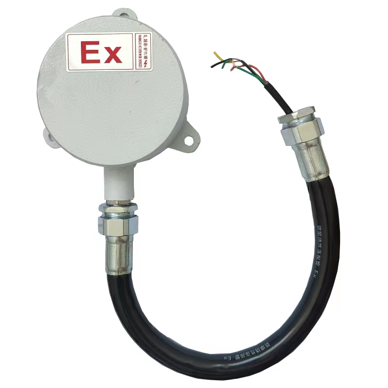 Explosion proof vibration detectors are suitable for hazardous areas in Zone 1 and Zone 2; Protection level: IP65