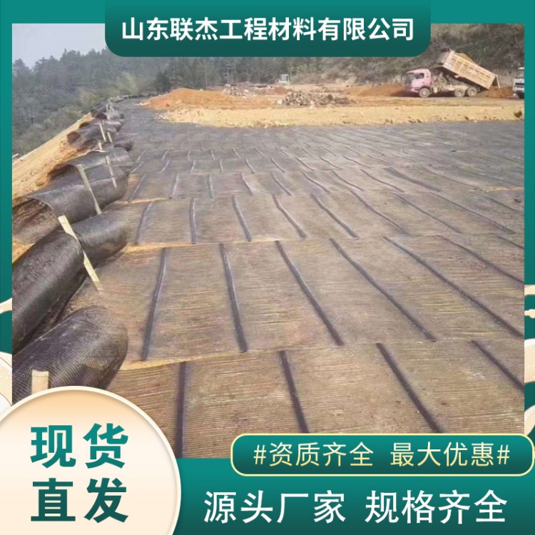 单向塑料土工格栅 多规格可选 耐磨抗撕裂 河道治理用 联杰