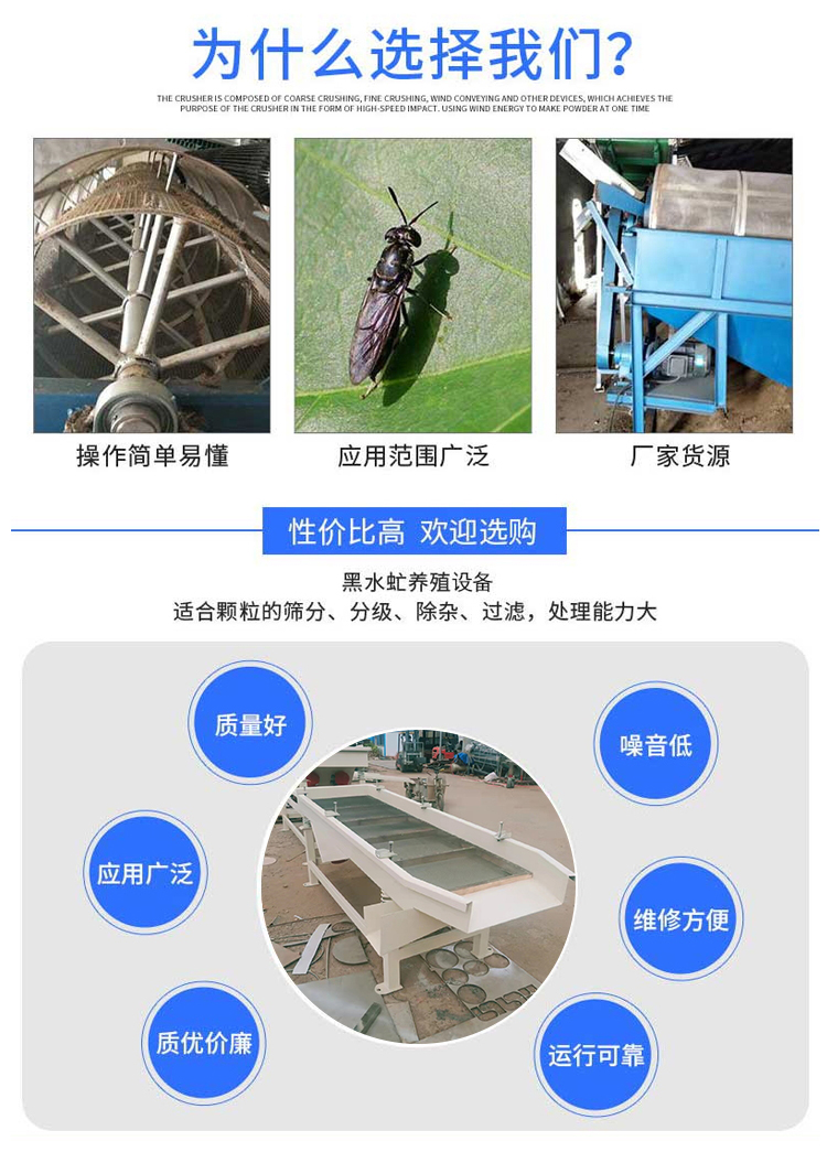 Blackwater fly, sand worm, dung, linear vibrating screen, customized by Xinzhou Machinery Factory, stable operation, fast delivery