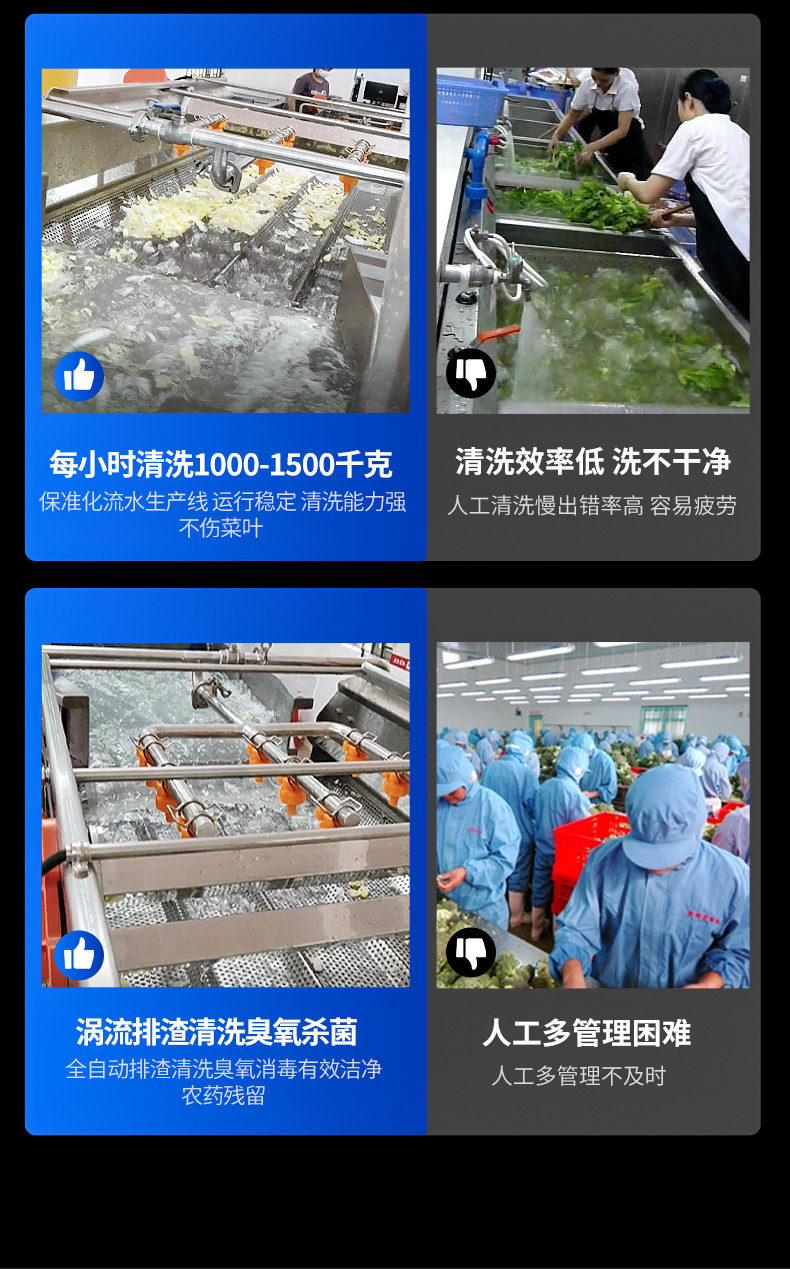 Large clean vegetable processing assembly line Longan Passion Fruit Cleaning Equipment Small Scallion Spinach Bean Sprout Cleaning Air Mainline