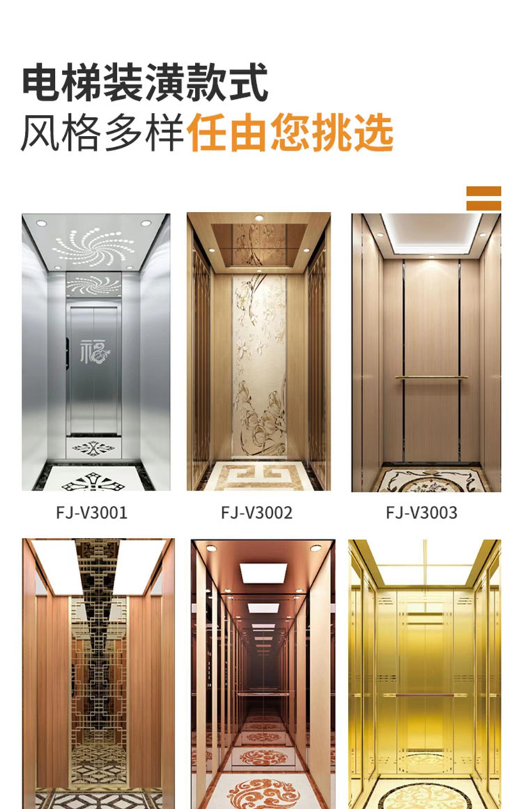 Longyu Customized Home Hydraulic Elevator Villa Sightseeing Elevator Penthouse Elevator