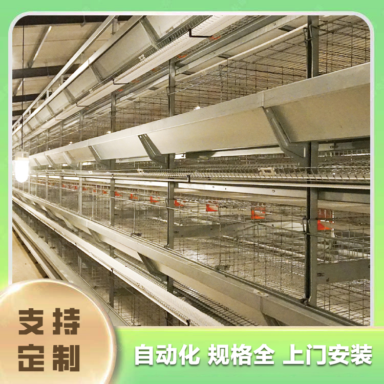 Large scale automated chicken farming equipment Linfen chicken farming equipment Layer chicken farming machinery Linfen chicken farm equipment Layer chicken meat chicken farming equipment What are the laboratory instruments in the chicken farm