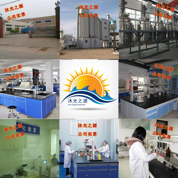 Blue Flag Reverse Osmosis RO Membrane Scale Inhibitor Industrial Boiler Corrosion Inhibition Purified Water Treatment Equipment Rust Cleaning and Descaling Agent