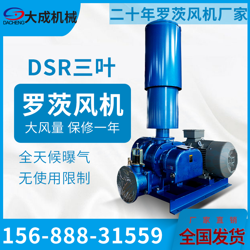 DSR65 Roots blower sewage tank for aerated aquaculture occupies a small area and is easy to maintain