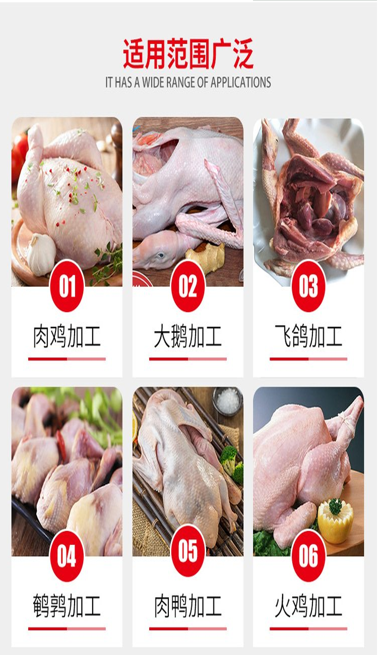 Chicken, duck, goose cutting saw, poultry segmentation machine, stainless steel white strip segmentation equipment, simple operation, carcass cutting and shaping