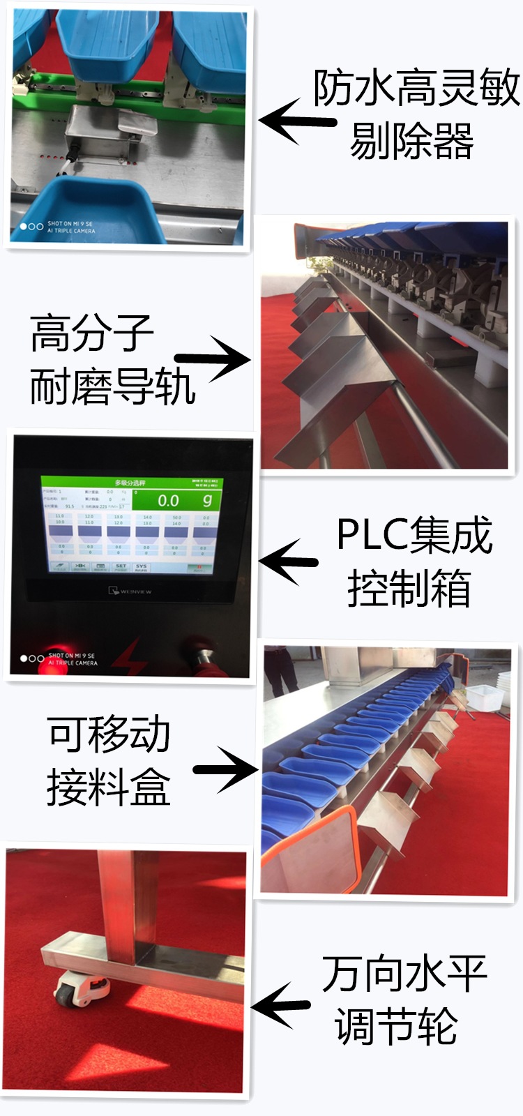 Small Fruit Sorter Fruit Sorter Chicken Duck Goose Quick Weight Classifier Automatic Weight Size Classification