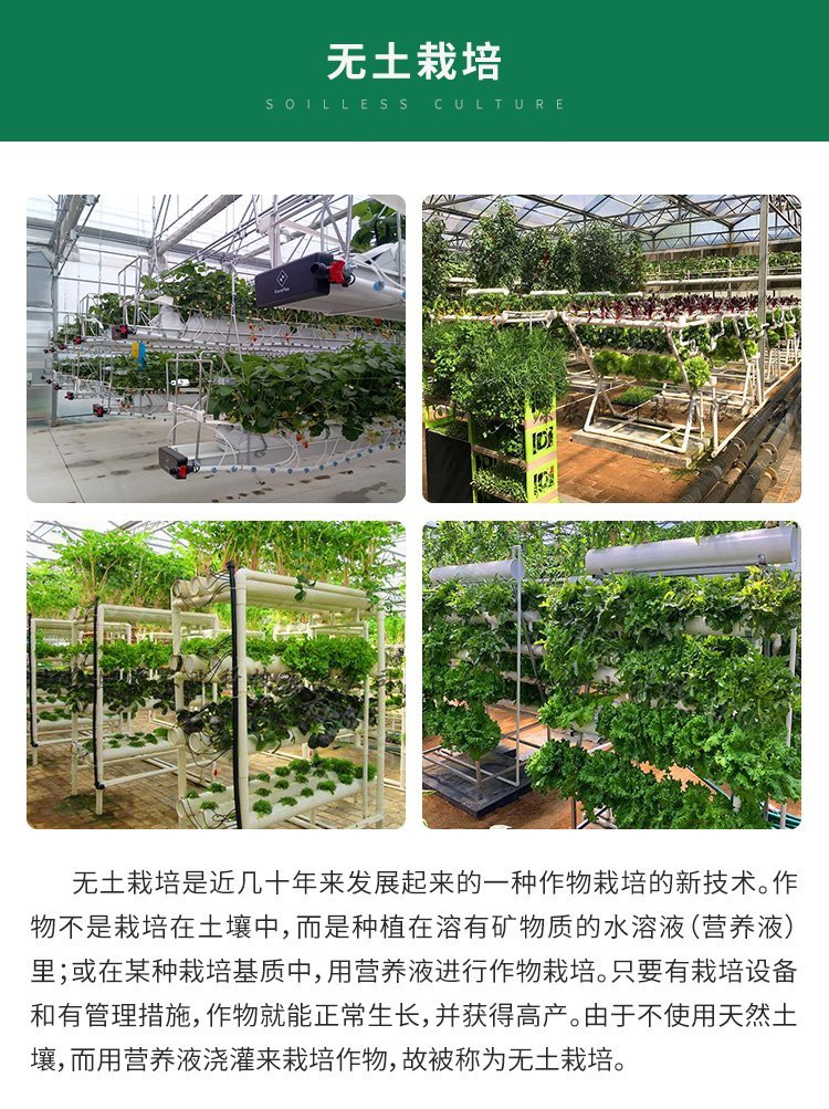 Customized film multi-span greenhouse with large lighting area for fruit and vegetable farming in greenhouses