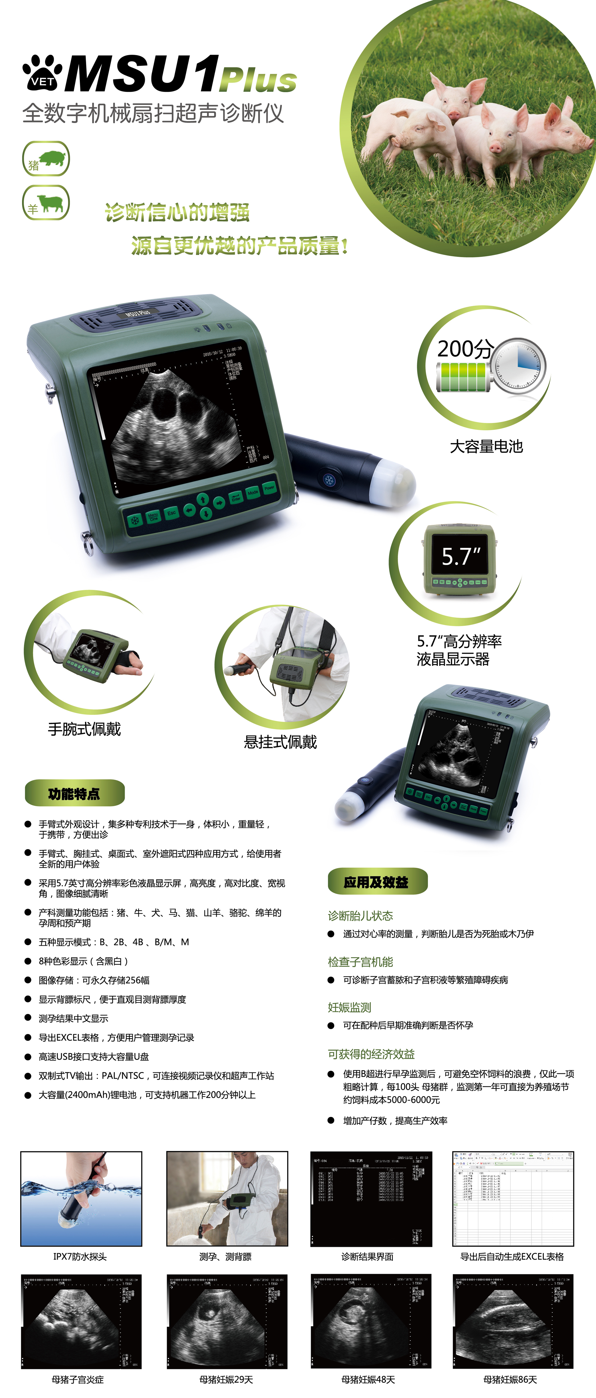 Kaixin Electronic Msu1 Plus Pig and Sheep Using a Fully Digital Mechanical Fan Scan Ultrasound Diagnosis Instrument to Measure Pregnancy Ultrasound