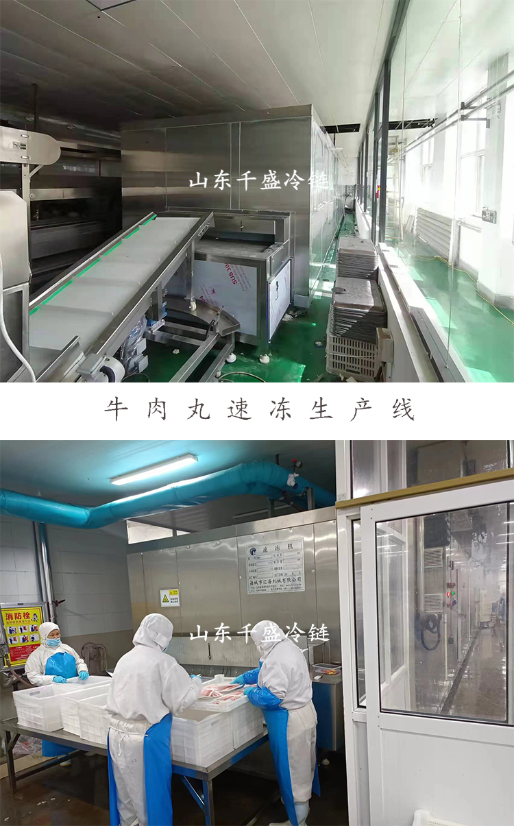 Instant Sea Cucumber Tunnel Type Quick Freezer Multifunctional Single Freezer Winged Fruit and Vegetable Low Temperature Quick Freezing Equipment