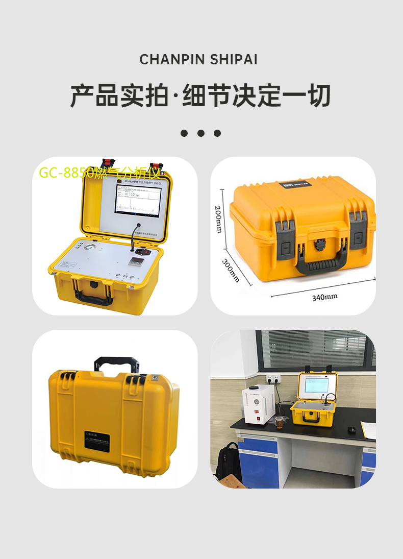 Portable Natural Gas Calorific Value Analyzer Chromatography LNG Liquid Quality Detector CNG Component Analysis