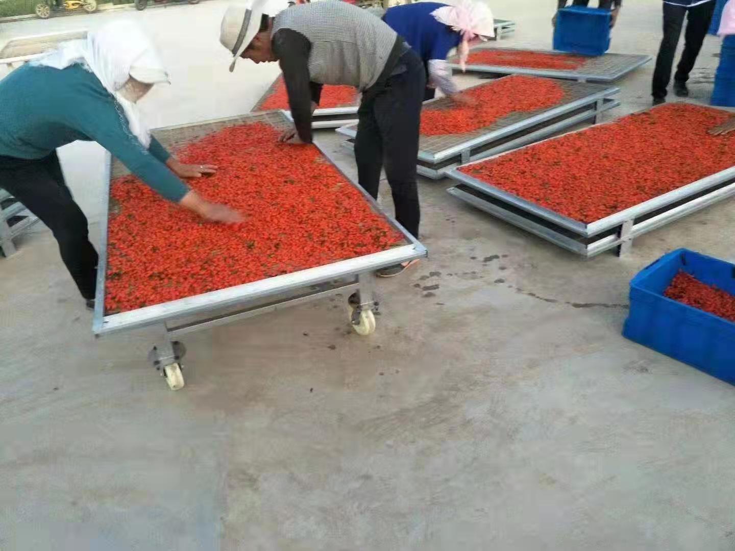 The drying equipment of goji berry dryer is easy to operate, and a new large-scale drying oven has been launched