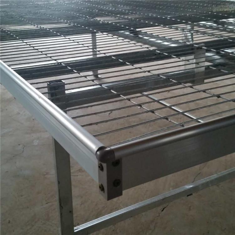 Tailong Flower Seedling Cultivation, Flower Rack Network, Medicinal Material Planting, Corrosion Resistant Seedling Bed Network, Vegetable Galvanized Planting Net Bed Customization