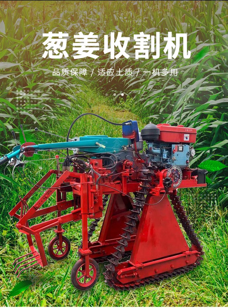 Picture of a scallion digging machine with high work efficiency. Scallion harvester, diesel tracked scallion ginger excavator